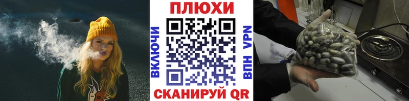 ГАШ Premium Купить где Королёв