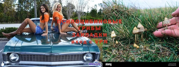 марки lsd Кулебаки